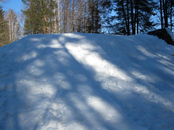 Winterwald und Schneeverwehungen — Stockfoto