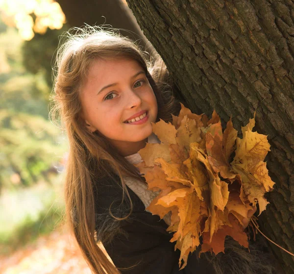 Meisje in de herfst park — Stockfoto