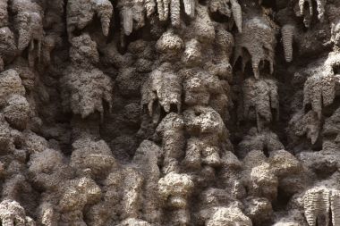 yapay sarkıt duvar Wallenstein Bahçe, Prag oluşturulması