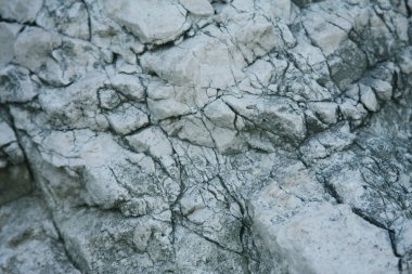 Gri taş arka plan - doku