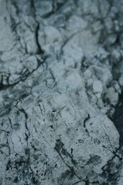 Gri taş arka plan - doku