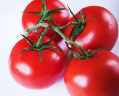 beyaz zemin üzerine yeşil dal üzerinde kırmızı domates