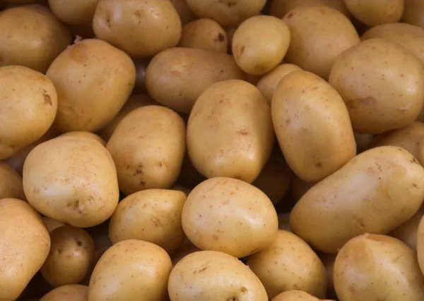 Big bunch of natural potatoes at market — Stock Photo, Image