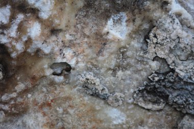 Kahverengi renk tonu ile Mermer yüzey. Taş dokusu ve backgro