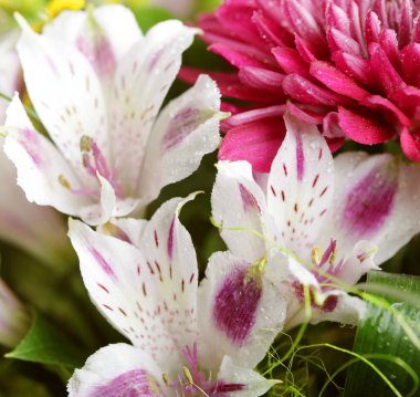 bir çok değişik çiçek çiçek buketi