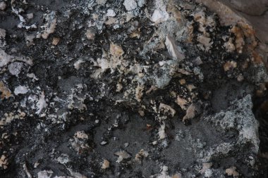 Gri taş arka plan - doku