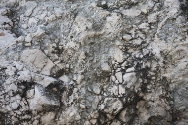 Gri taş arka plan - doku