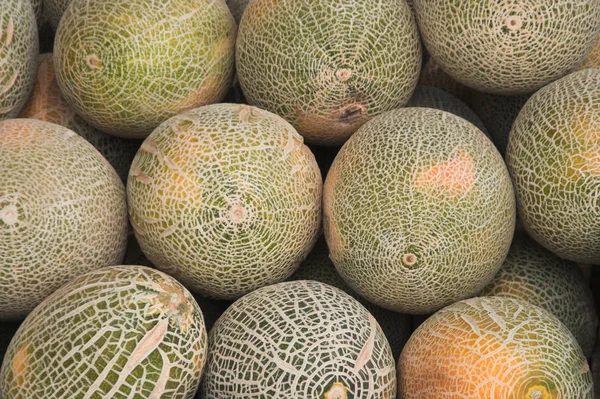 Meloenen - close-up, achtergrond van het voedsel — Stockfoto