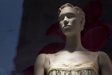 manken. herhangi bir brandnames veya telif hakkı nesneleri.