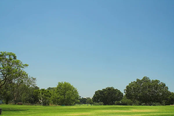 Prachtige zomer park — Stockfoto