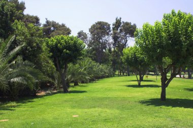 güzel yaz park