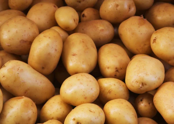 Big bunch of natural potatoes at market — Stock Photo, Image