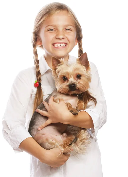 Smuk blond pige med sød yorkshire terrier hund, isoleret - Stock-foto