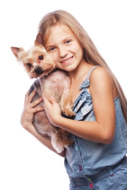 Mutlu kız onu güzel yorkshire terrier köpek tutarak. Beyaz izole