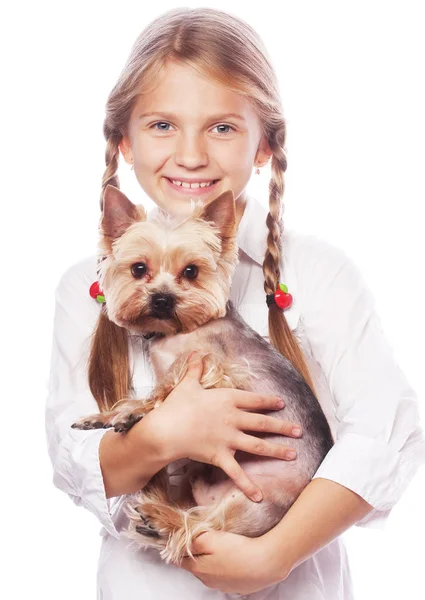 Smuk blond pige med sød yorkshire terrier hund, isoleret - Stock-foto