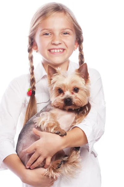 Lykkelig pige holder hendes dejlige yorkshire terrier hund . - Stock-foto