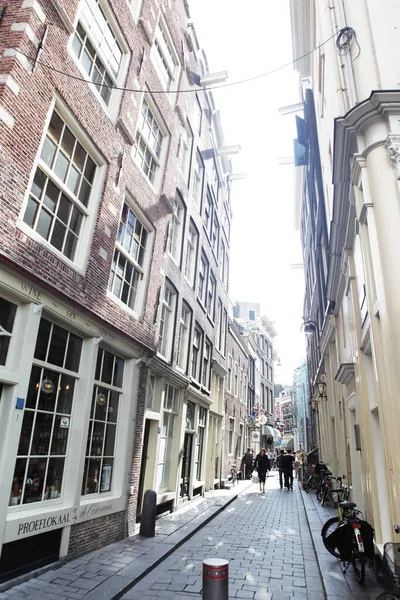 Typical Amsterdam houses — Stock Photo, Image