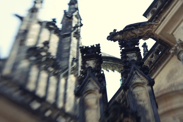 체코 프라하 의대 성당 신성한 비투스 성당 — 스톡 사진