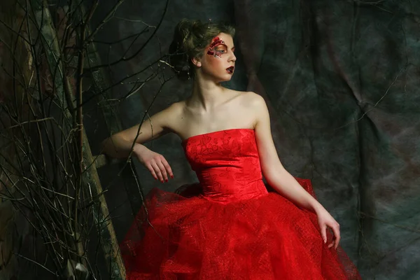 Portrait of a beautiful woman in medieval era dress. Shot in a s — Stock Photo, Image