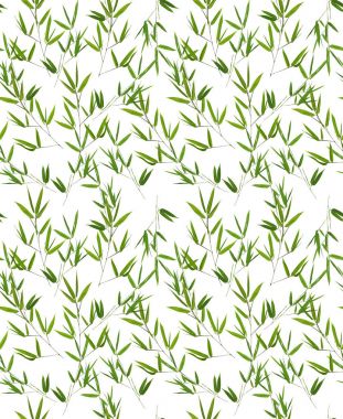 Yeşil Bambu dalları sorunsuz arka plan