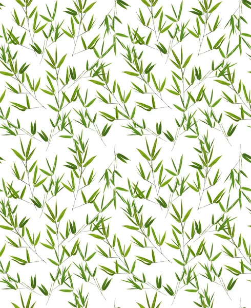 Nahtloser Hintergrund aus grünen Bambuszweigen — Stockfoto