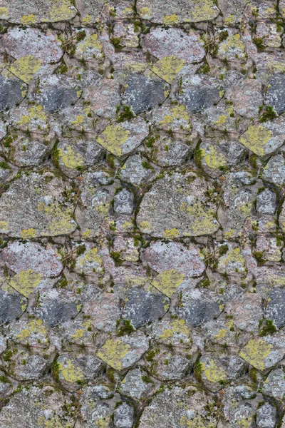 Stones in moss and lichen seamless background — Stock Photo, Image