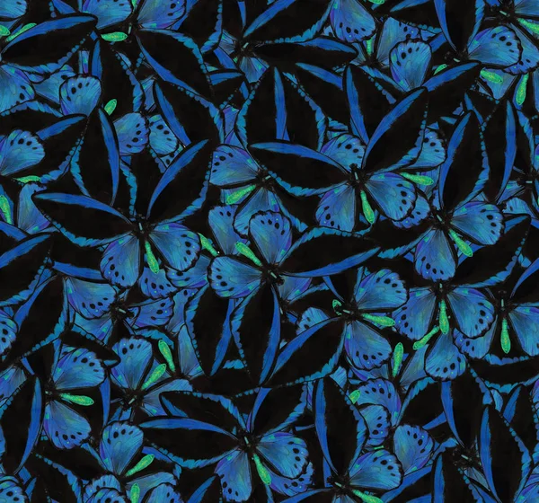 Sfondo da verde farfalle azzurre — Foto Stock