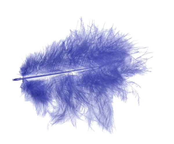Single fluffy blue feather isolated on white — Stock Photo, Image