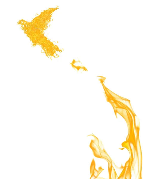 Paloma de fuego volando de llama anaranjada aislada en blanco —  Fotos de Stock