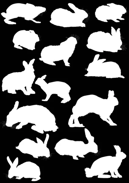 Fifteen hare silhouettes collection isolated on black — Stock Vector