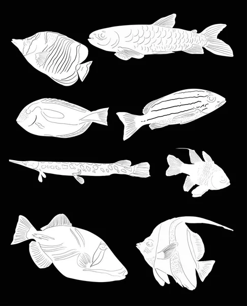 Grupo de ocho bocetos de peces aislados en negro — Vector de stock