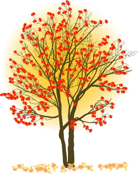 Red rowan tree on light background — Stock Vector