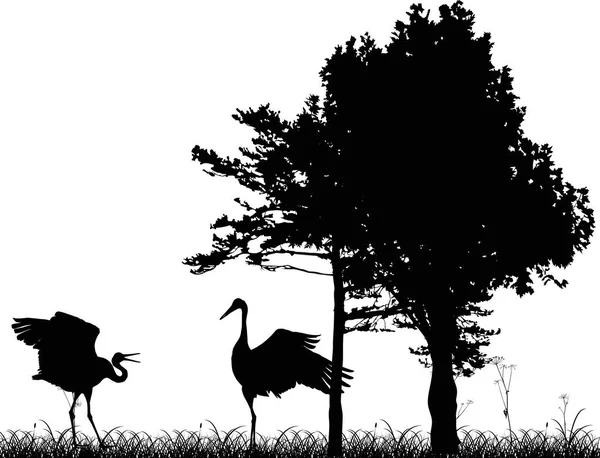 Deux grues en illustration de forêt noire — Image vectorielle