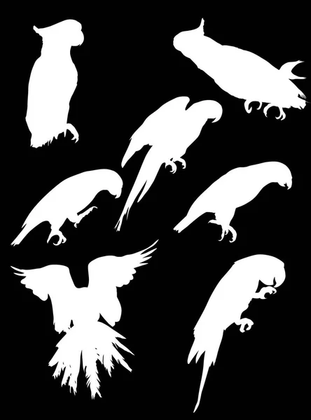 Sedm bílých papoušek siluety kolekce — Stockový vektor
