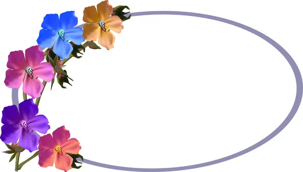 Five flowers in oval frame on white background — Stock Vector