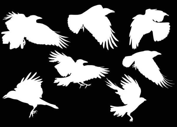 Illustration Set Seven Crow Silhouettes Isolated Black Background — Stock Vector
