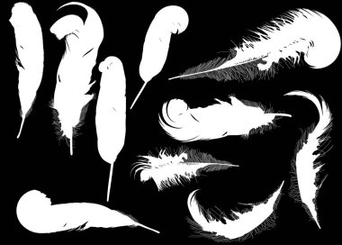 on beyaz eşarplı illüstrasyon