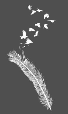 tüy siluet gri uçan kargalar
