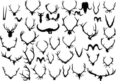 kırk iki topluluğu siyah boynuz ve boynuz