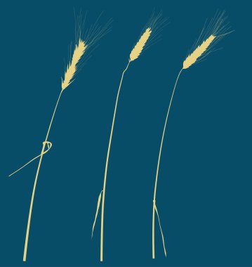 Üç kulak siluetleri üzerinde koyu mavi