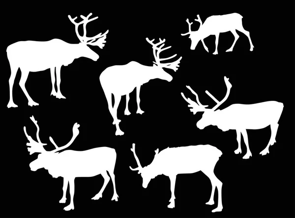Sześciu jeleni na białym tle białe sylwetki — Wektor stockowy