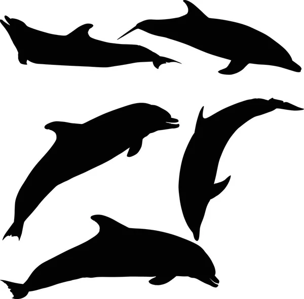 П'ять дельфінів ізольовані на білому — стоковий вектор