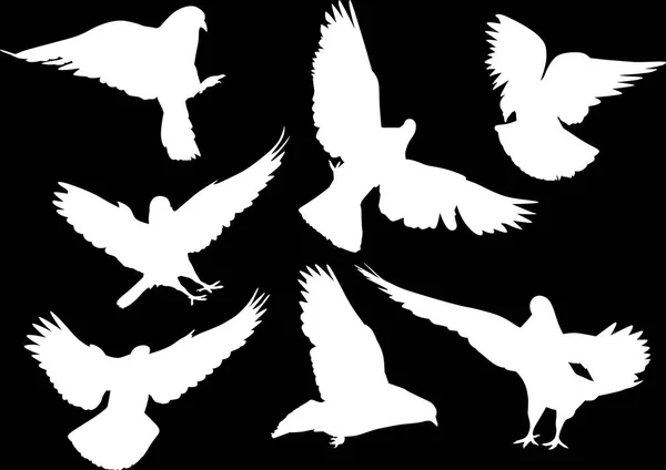 Seven isolated white doves — Stock Vector