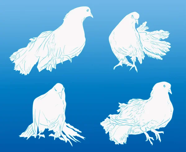 Four white pigeon on blue background — Stock Vector