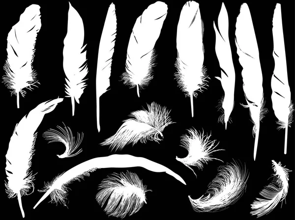 Sixteen white feathers isolated on black — Stock Vector