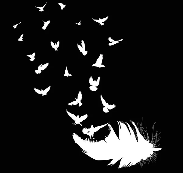 Download Doves flying from feather silhouette — Stock Vector © Dr ...