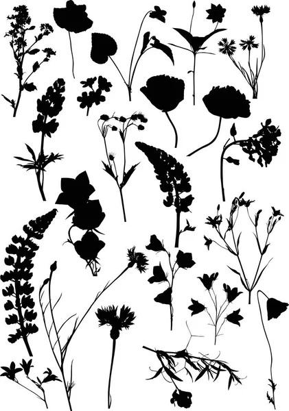 Ventidue silhouette nere isolate di fiori selvatici — Vettoriale Stock