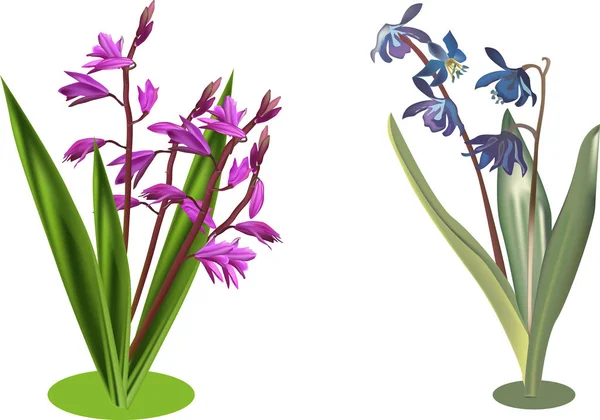 Dois grupos de flores rosa e azul selvagens isoladas em branco — Vetor de Stock