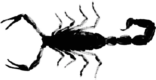 Petit scorpion noir à partir de points isolés sur blanc — Image vectorielle