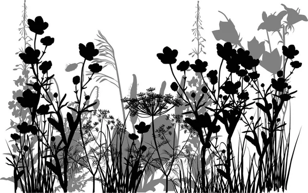 Zwart en grijs bloemen in het gras geïsoleerd op wit — Stockvector